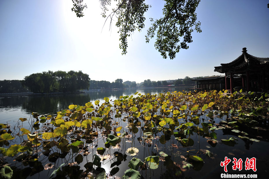 Dix quartiers pittoresques de Beijing en automne