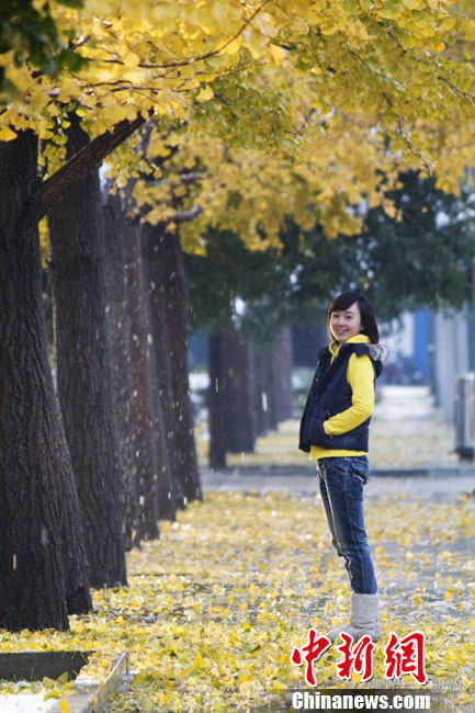 Dix quartiers pittoresques de Beijing en automne